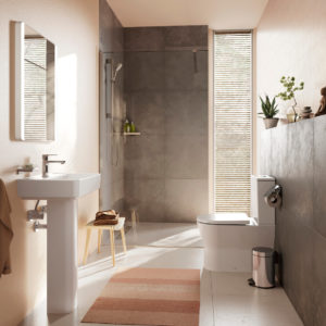 Крючок hansgrohe AddStoris 41742000 хром-фото2