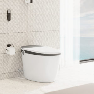 Держатель для туалетной бумаги hansgrohe AddStoris 41771670 матовый черный-фото2