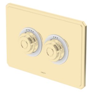 Панель пневматичекая для SV102 цвет золото-SV152 GOLD-фото1