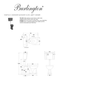 Унитаз с низким бачком 51см цвет синий T31 CHR Bespoke-фото3