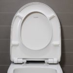 Сиденье с крышкой для унитаза Duravit No.1 0020790000 SoftClose-фото4